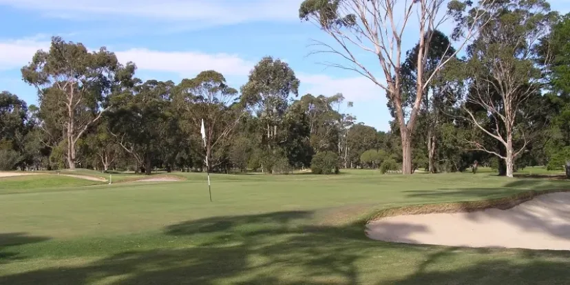 A fairway lined with gum trees at Bairnsdale Golf Club