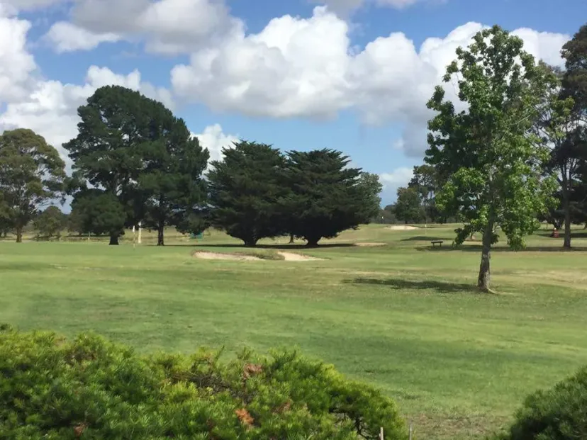 A fairway framed by a large gum at Sale Golf Club